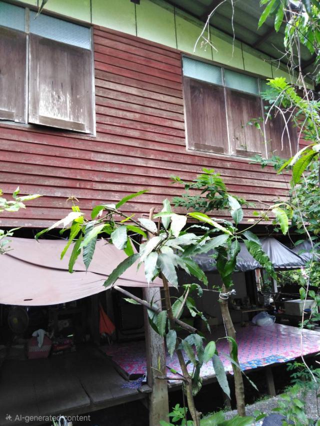 ��º�ҹ ����ͧ��ا෾