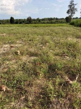 �س ��ѹ���