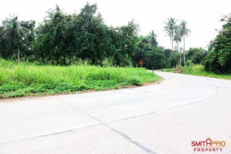 ที่ดิน pattaya ที่ดิน pattaya