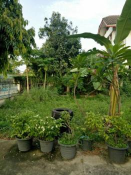 10 ��ѧ�������Ѿ�� �ʹ����