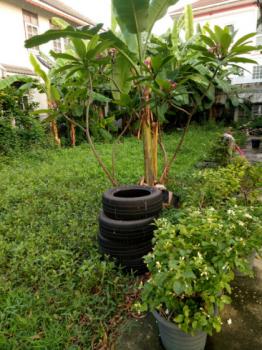 ��·��Թ ���١�� �����ҹ�