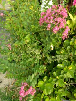 ��·��Թ ���١�� �����ҹ�