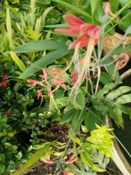 ��·��Թ ���١�� �����ҹ�