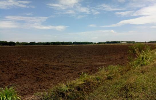 ���Թ ��١�ѡ 3,500,000 �ҷ