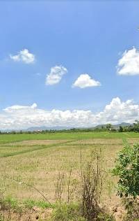 �س ��ѹ���