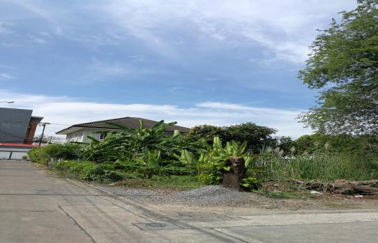 ขายที่ดิน bigc ขายที่ดิน bigc