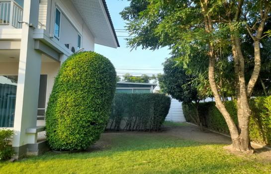 ��¤�ͧ����� �� B.Y.55