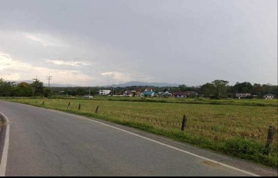 ���Թ 5 ���