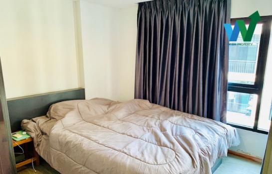 �͹ⴵ������� �ҧ��