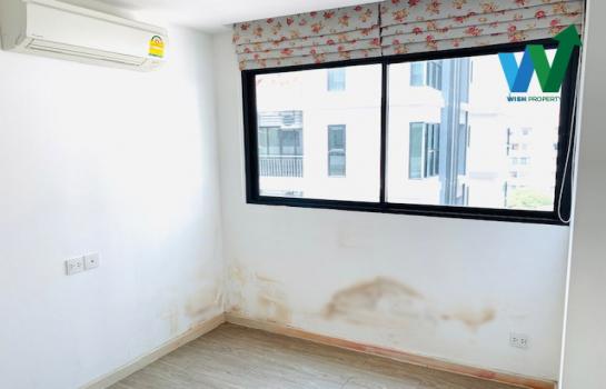 �͹���Ҿ���� �ҧ��