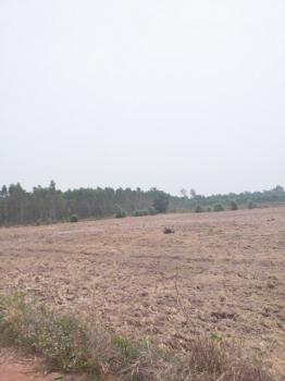 ���Թ 38 ���