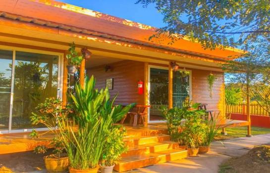 ��¸�áԨ ���ͧ��ù�¡ ��ù�¡