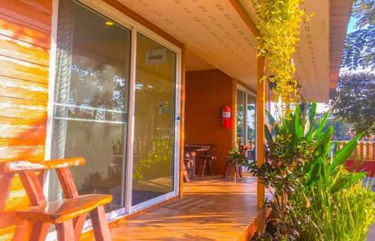 ��¸�áԨ ���ͧ��ù�¡ ��ù�¡