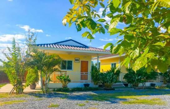 ��¸�áԨ ���ͧ��ù�¡ ��ù�¡