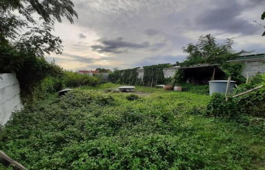 ��¾��⢹� �� Airatda