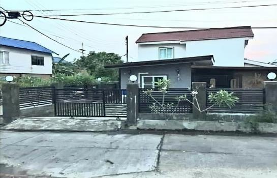 ��ҹ�ѹ��ҵͧ ��§����