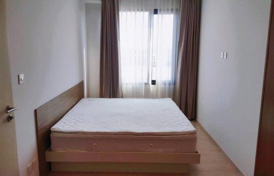 �͹����ͧ �� easythaihome