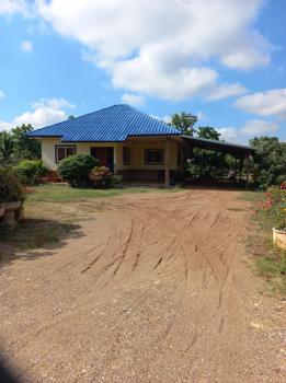 ��ҹ�ѹ��ҵͧ ��§����