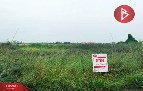  Թ