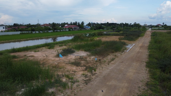 ���١�� �� ��¾�