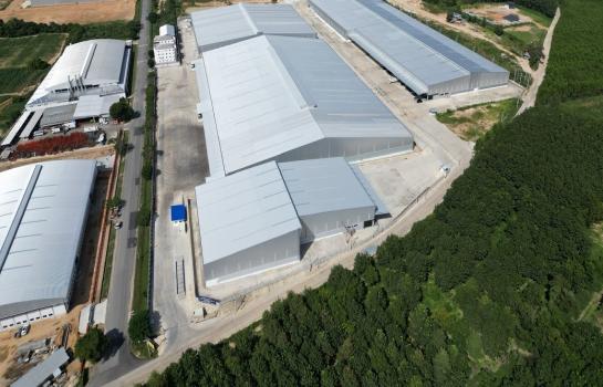 �ç�ҹ 9 ���