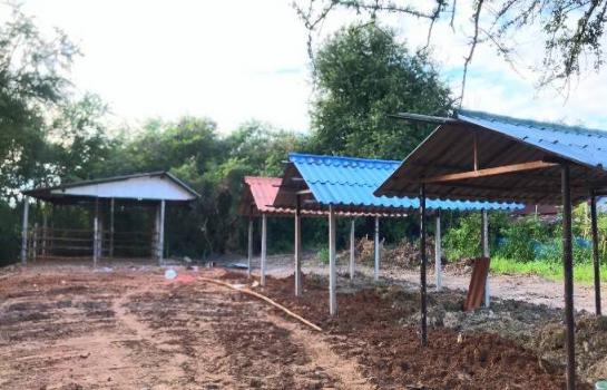 �س ��ѹ���