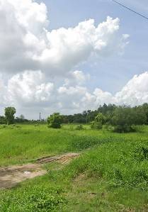 �س ��ѹ���