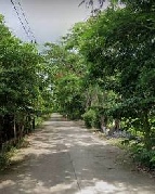 ���Թ ˹ͧ�͡