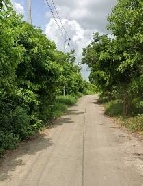 ��·��Թ ˹ͧ�͡