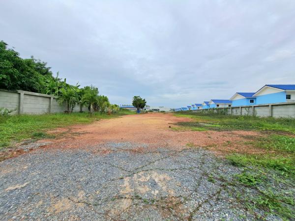 ��з���ẹ �� sureepatch