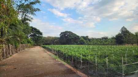 ���Թ 5 ���