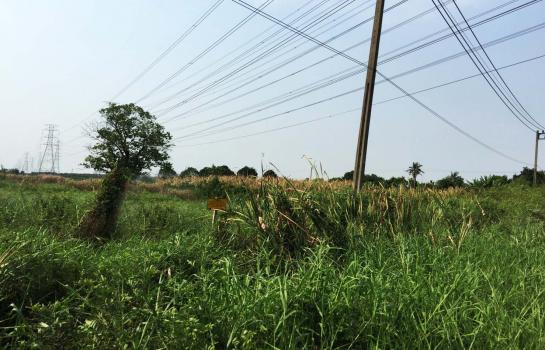 �Ҵ��кѧ �� Perfect Property1