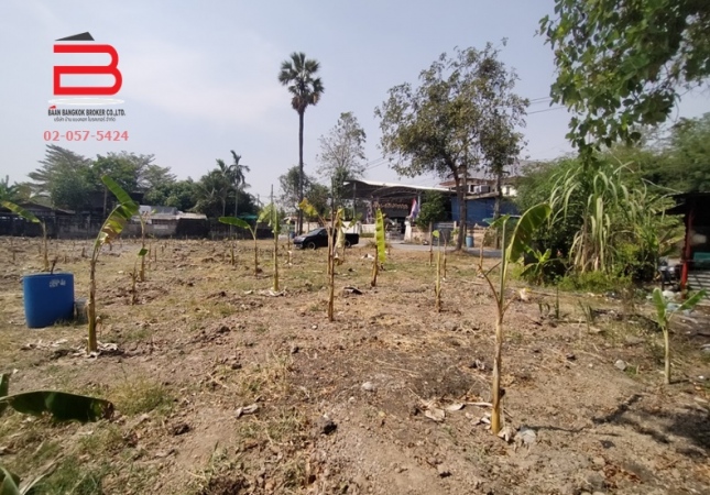 ���Թ�ٻ�����������׹��� ���ͧ�����ҹ�