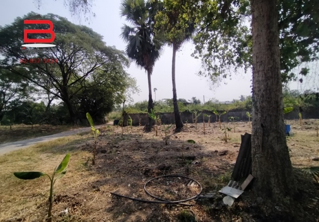 ���Թ˹�ҡ��ҧ52���� ���ͧ�����ҹ�