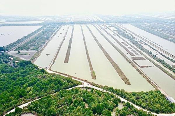 ������ �� Baan Bangkok Broker