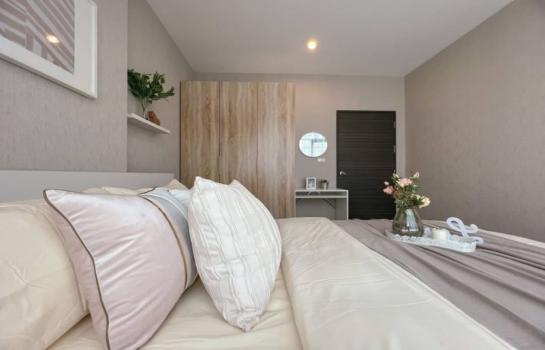 �͹����������¹�� �ҧ����