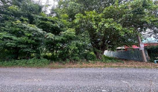 ���ͧ �� Baan Bangkok Broker