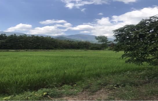 ขายที่ดินทำรีสอร์ท เพชรบูรณ์ ขายที่ดินทำรีสอร์ท เพชรบูรณ์