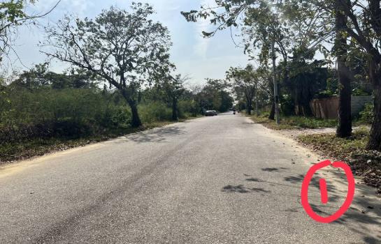 ขายที่ดิน 9,200,000 บาท ขายที่ดิน 9,200,000 บาท