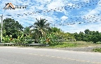 ขายที่ดิน แม่วาง