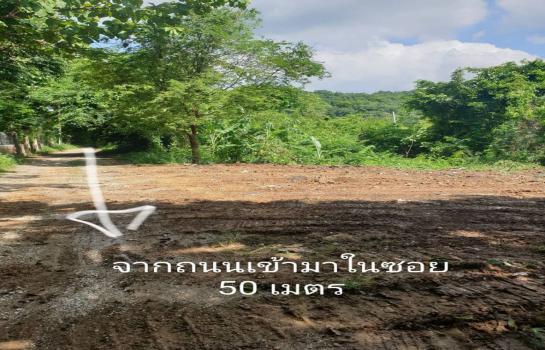 ที่ดินปากช่อง 100 ตารางวา