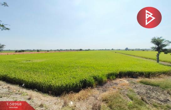 ��û�� �� The Best Property Agent