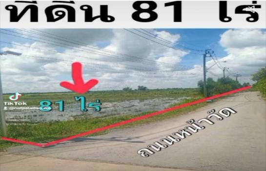 �ҧ�� �� TheEstate78924