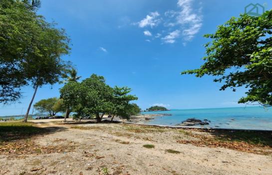 ����ɮ��ҹ� �� janejane