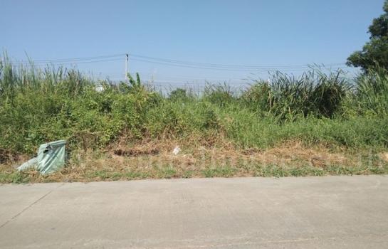 ����ѷ �繷��� ��� ���;������ �ӡѴ