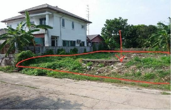 ������� �� panaya.opalopal