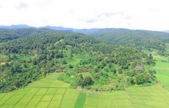 ���ᵧ �� northern1