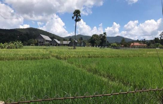 �ѹ��ᾧ �� ptipayaru1