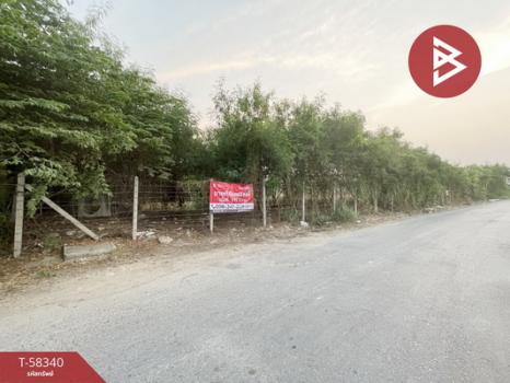 ��û�� �� The Best Property Agent