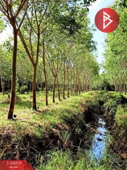 �ѷ�ا �� The Best Property Agent